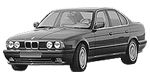 BMW E34 P1099 Fault Code